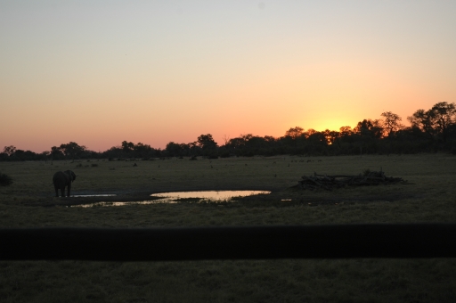 Sunset at Savuti 